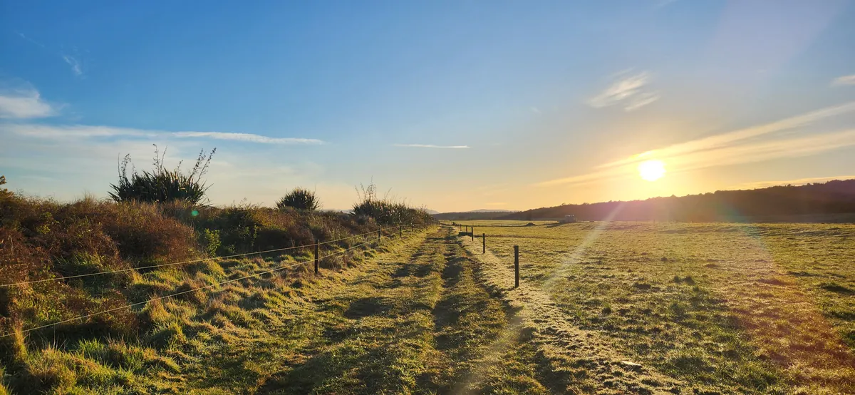 Climate Adaptation - Westport