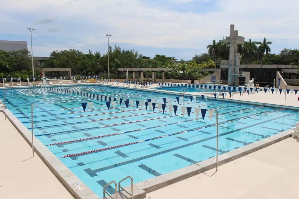 Evening Learn to Swim Classes for Adults at MDC Kendall Campus