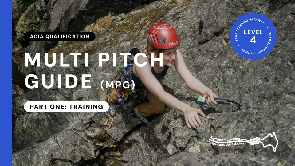 Multi-Pitch Guide Training