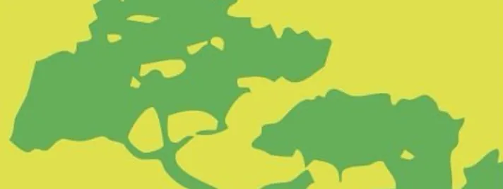 Tournament Kumite Preparation Clinic