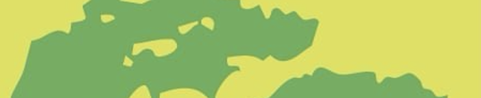 Tournament Kumite Preparation Clinic