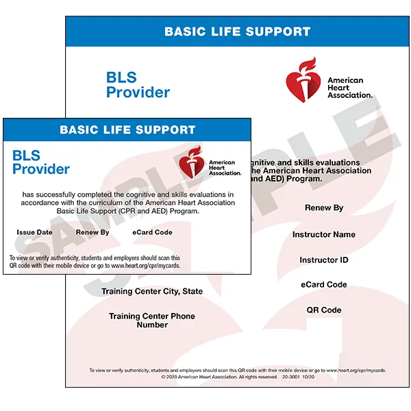 Basic Life Support (for Healthcare Providers) In-Person Course