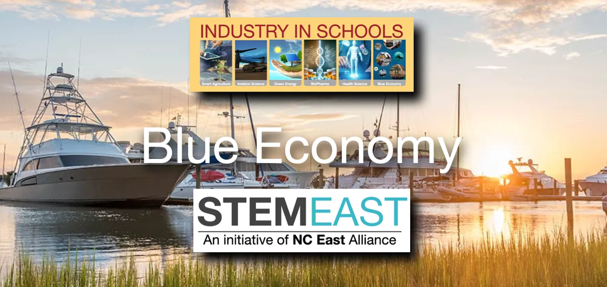 Blue Economy Institute (FINAL)