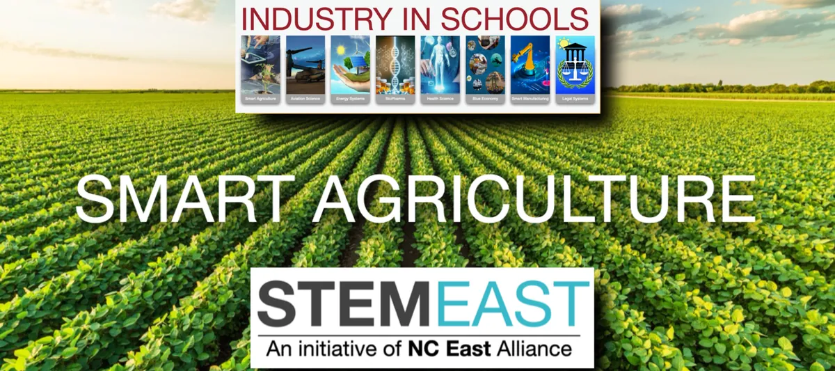 Hampton Farms - Peanut Roasting & Processing Tour