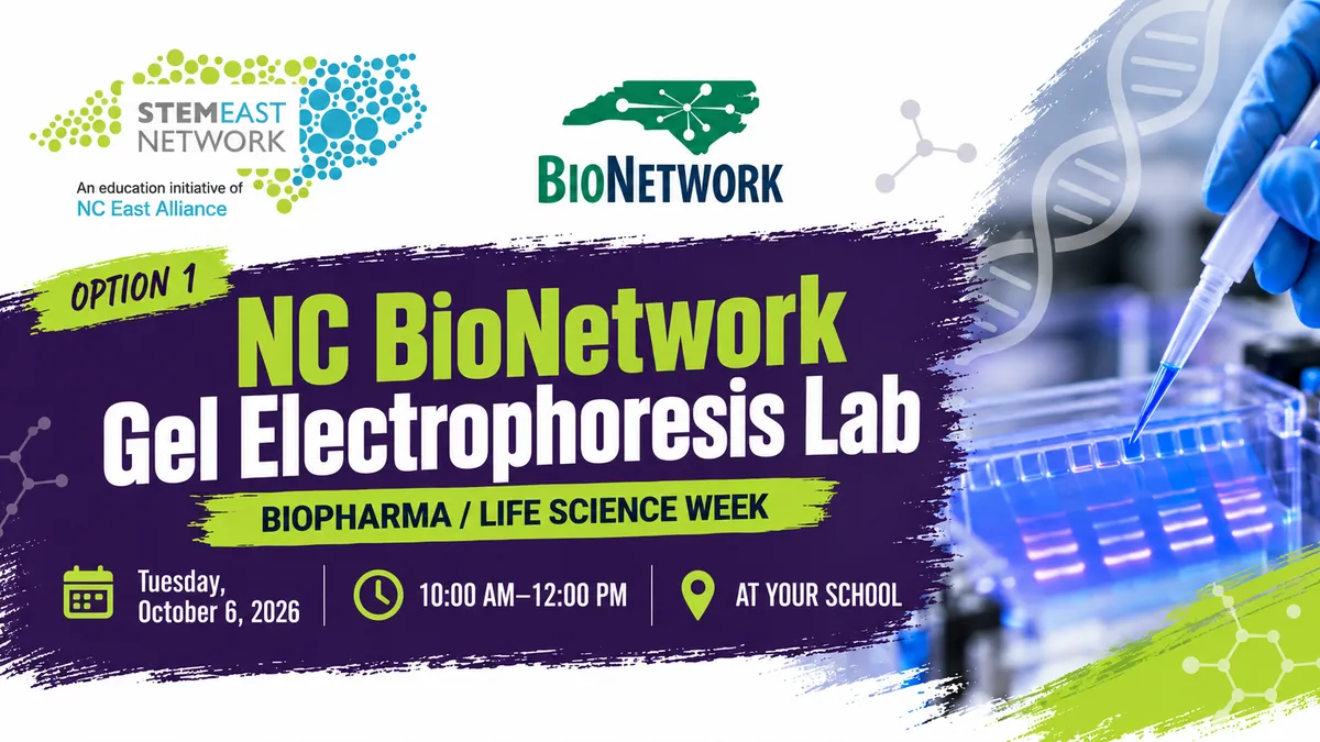 NC BioNetwork Gel Electrophoresis Lab - OPTION 1
