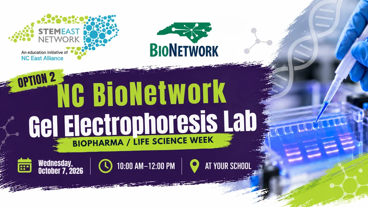 NC BioNetwork Gel Electrophoresis Lab - OPTION 2