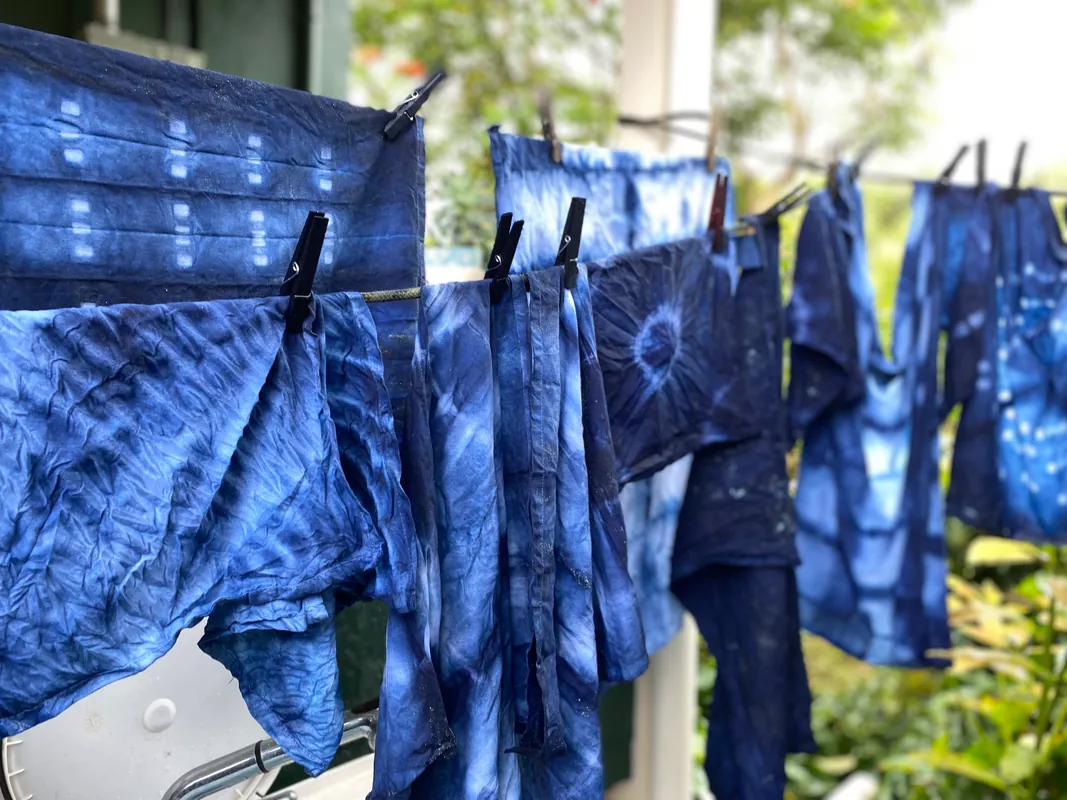 Dive into Indigo Dying