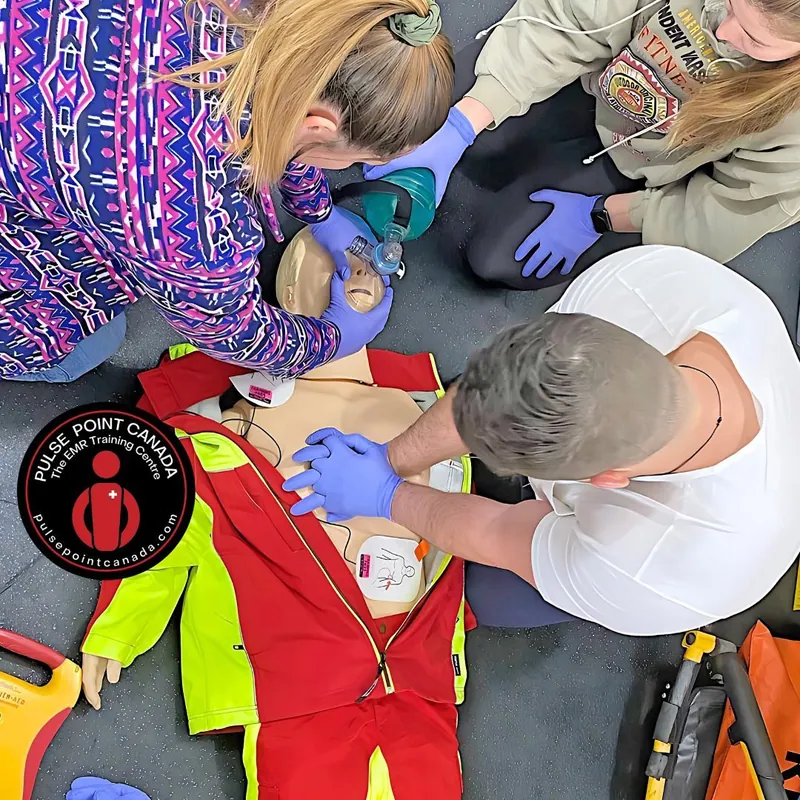 Basic Life Support (BLS/HCP)