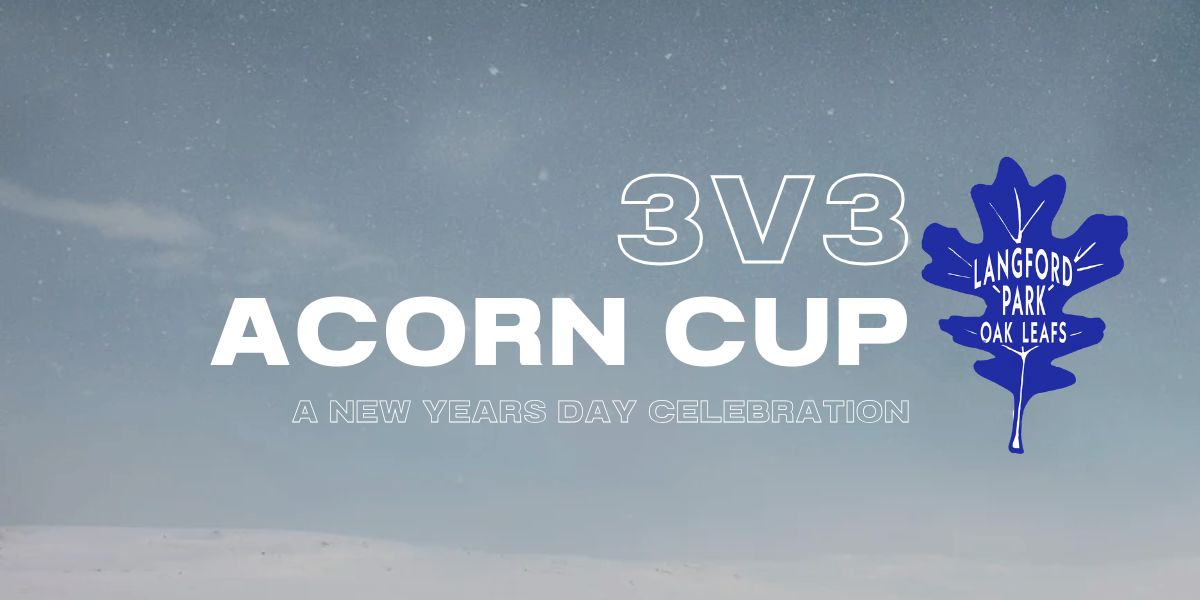 Teen/Adult Open Division 3v3 Team