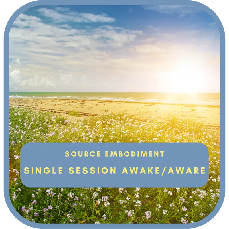 Single Session Awake/Aware