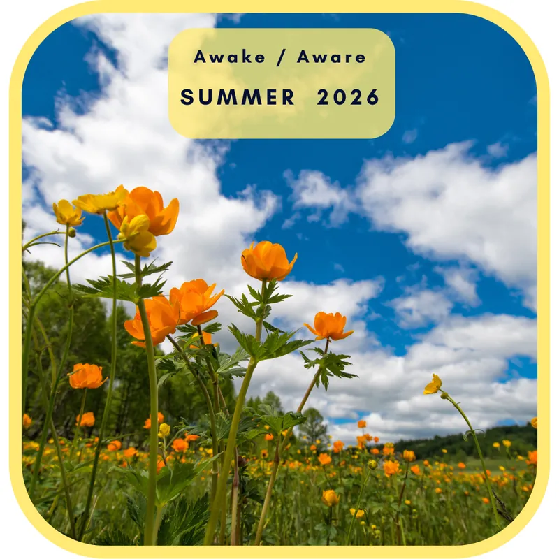 Awake/Aware Summer 2026
