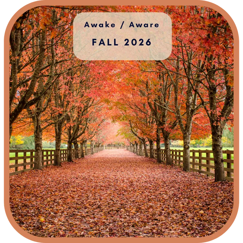 Awake/Aware Fall 2026