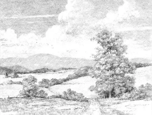 Drawing II-Landscapes