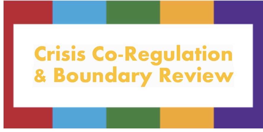 Crisis Co-Regulation  & Boundary Review