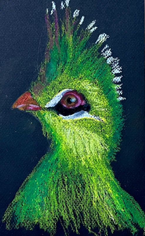 Capturing Animals & Pets