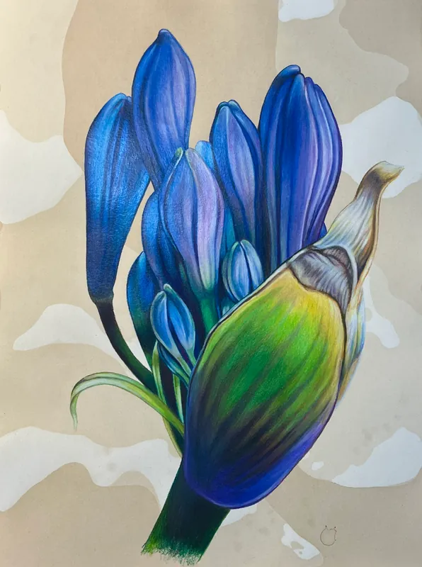 Art In Bloom: A Botanical Illustration Intensive