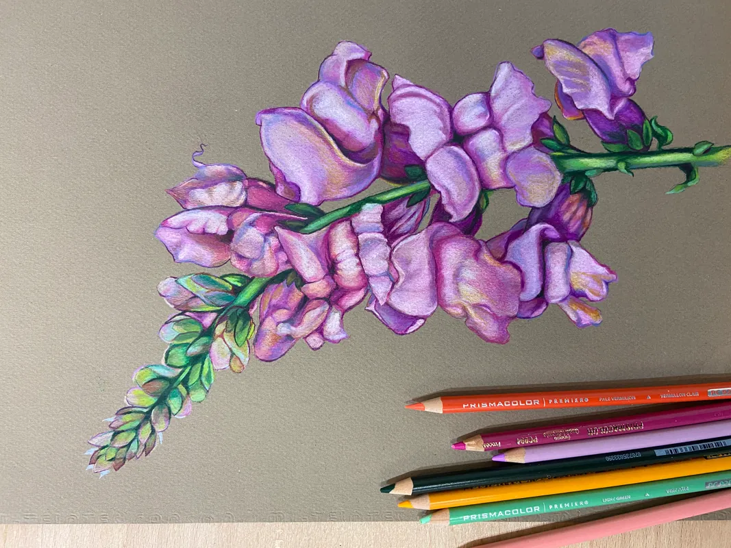 Art In Bloom: A Botanical Illustration Intensive