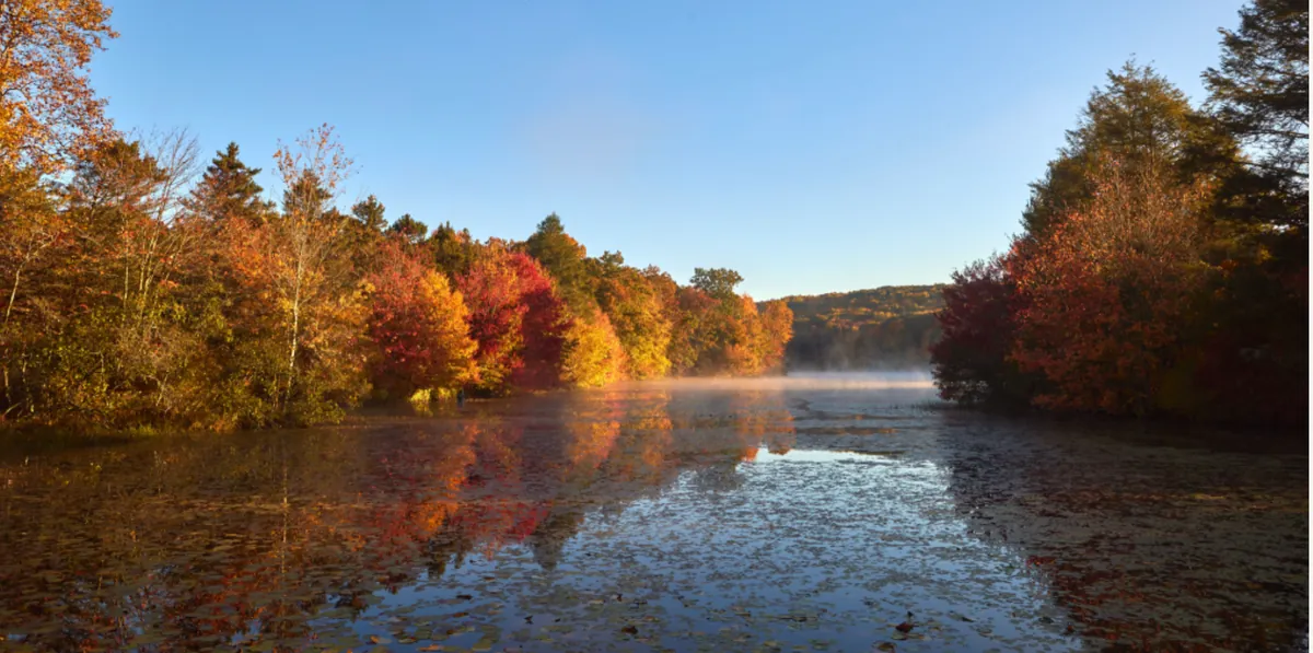 October Volunteer Workday