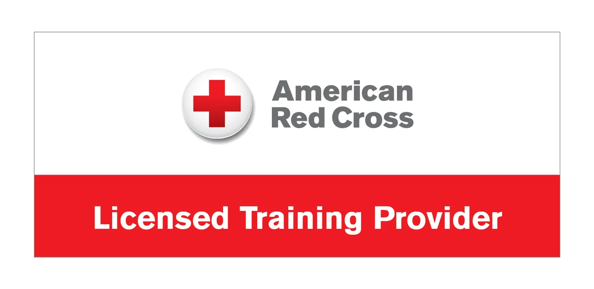 BL - Lifeguarding with CPR/AED for Professional Rescuers and First Aid