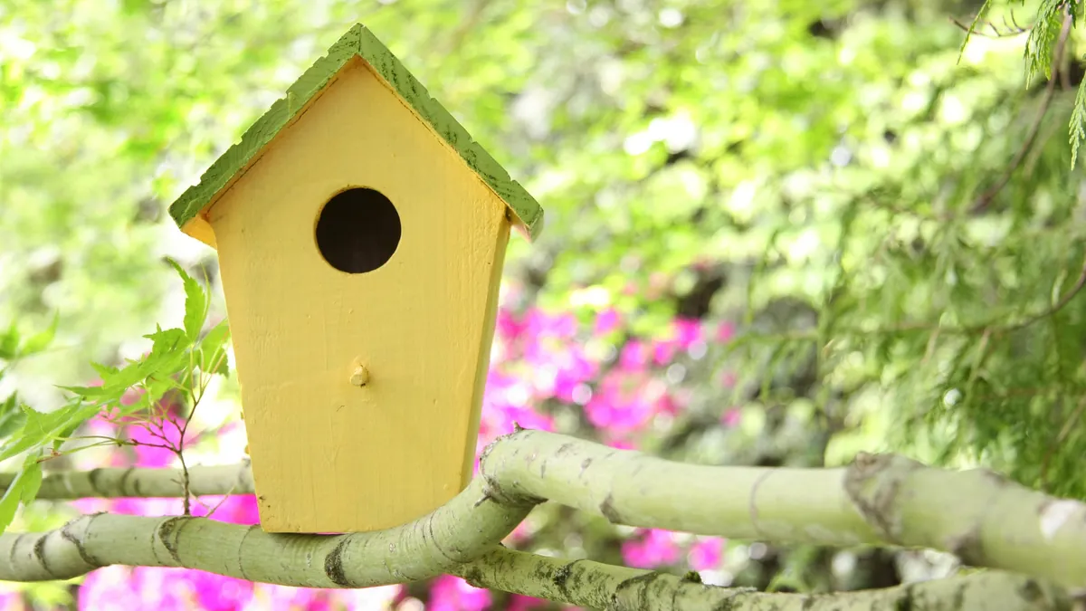 Bird House Make and Take