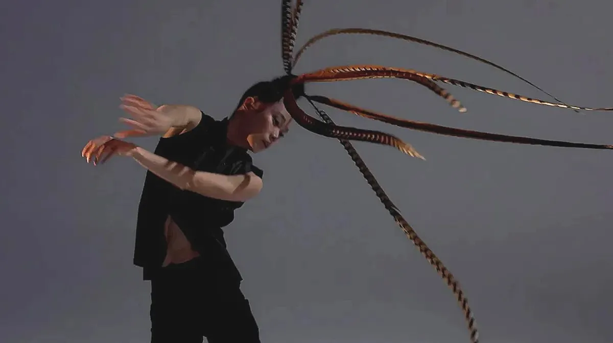 RCA Presents: HUNG DANCE - BIRDY Repertoire