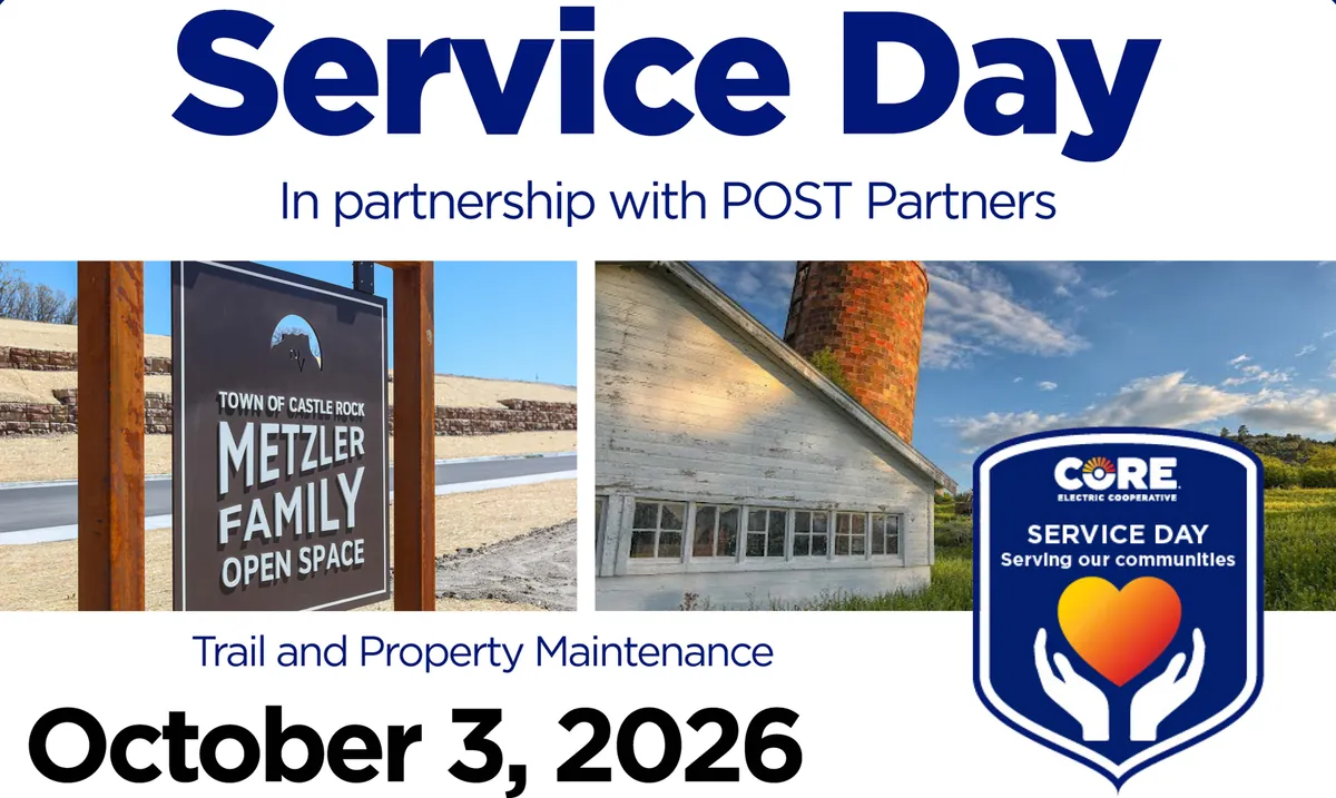 Service Day in Sedalia District