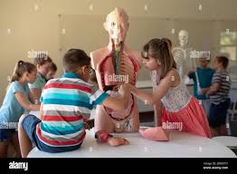 4th-6th: Exploring Creation with Human Anatomy and Physiology