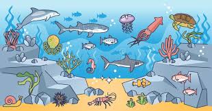 2nd-3rd: Swimming Creatures of the Fifth Day