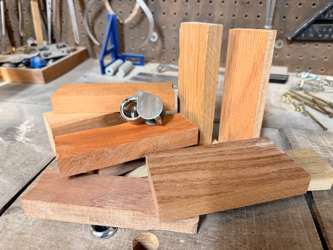 Wood Anatomy