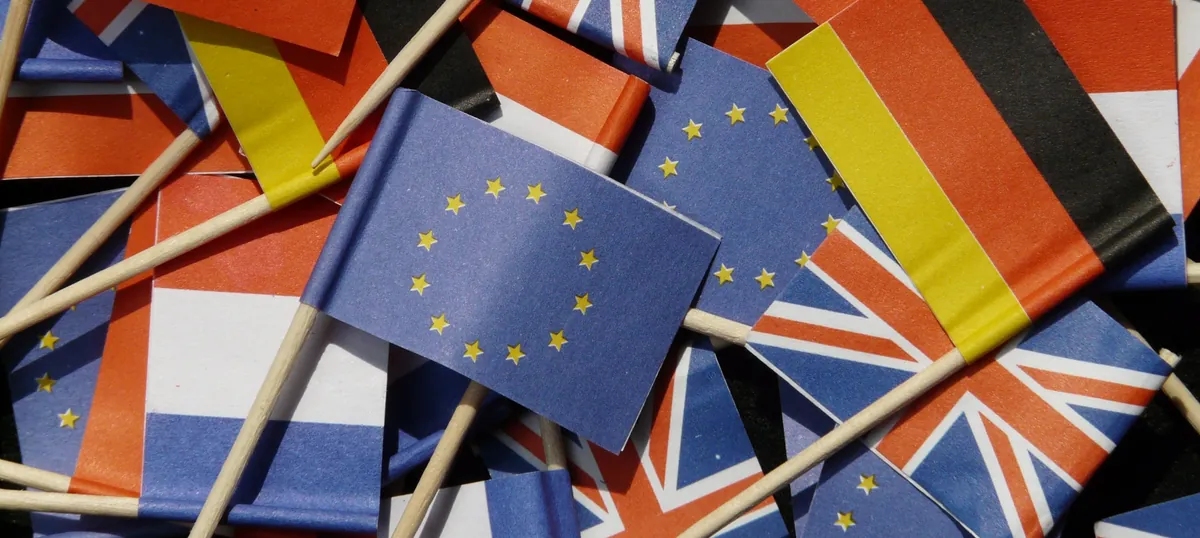 Introduction to the Responsible Person for Import (RPi)