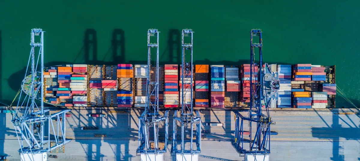 Export Training