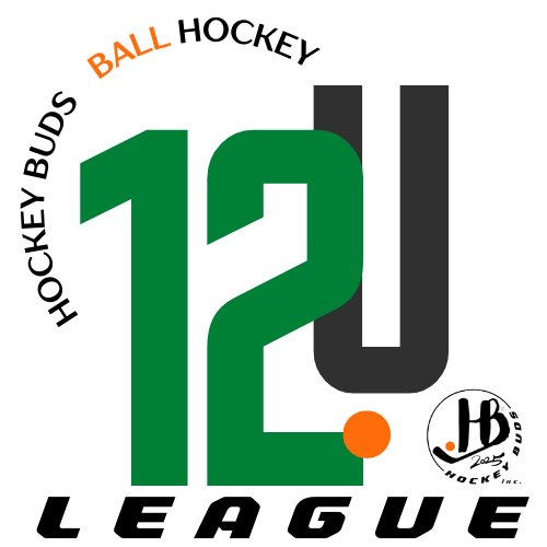 Twelve (12) U - Fall 2025 Ball Hockey League
