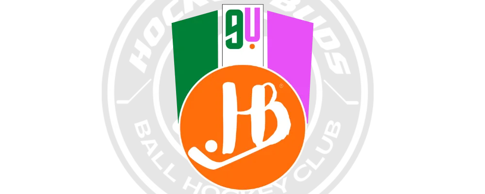 12 PM - Nine (9) Under Hockey Buds Ball Hockey Program