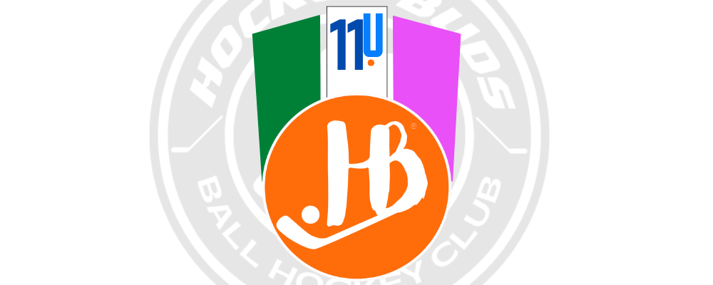 12 PM - Eleven (11) Under Hockey Buds Ball Hockey Program