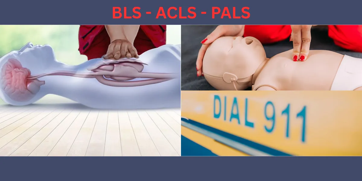 BLS / ACLS / PALS Blended Online Class