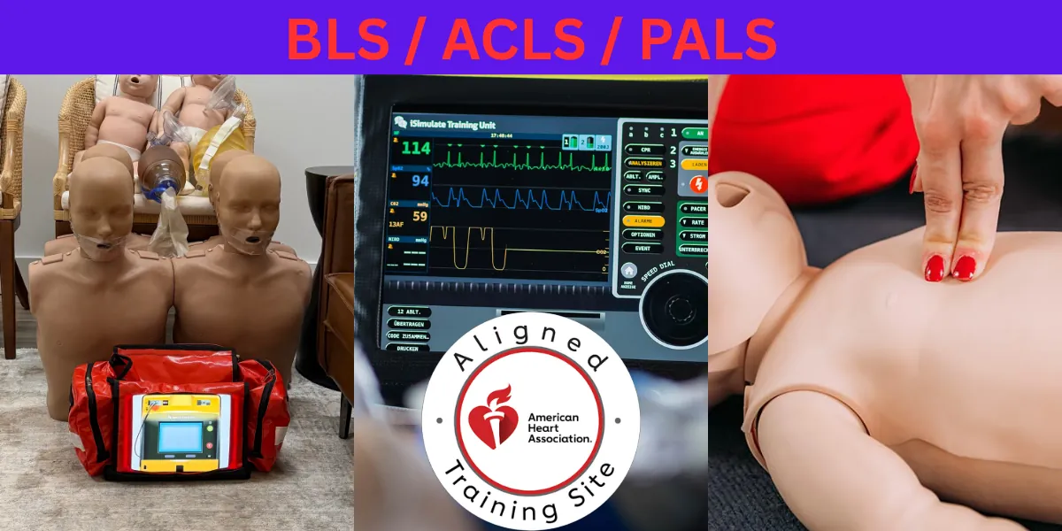 BLS / ACLS / PALS Blended Online Class