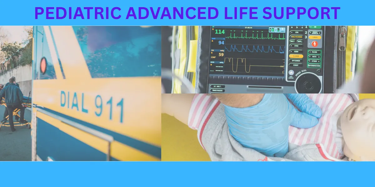 PALS Blended Online Class