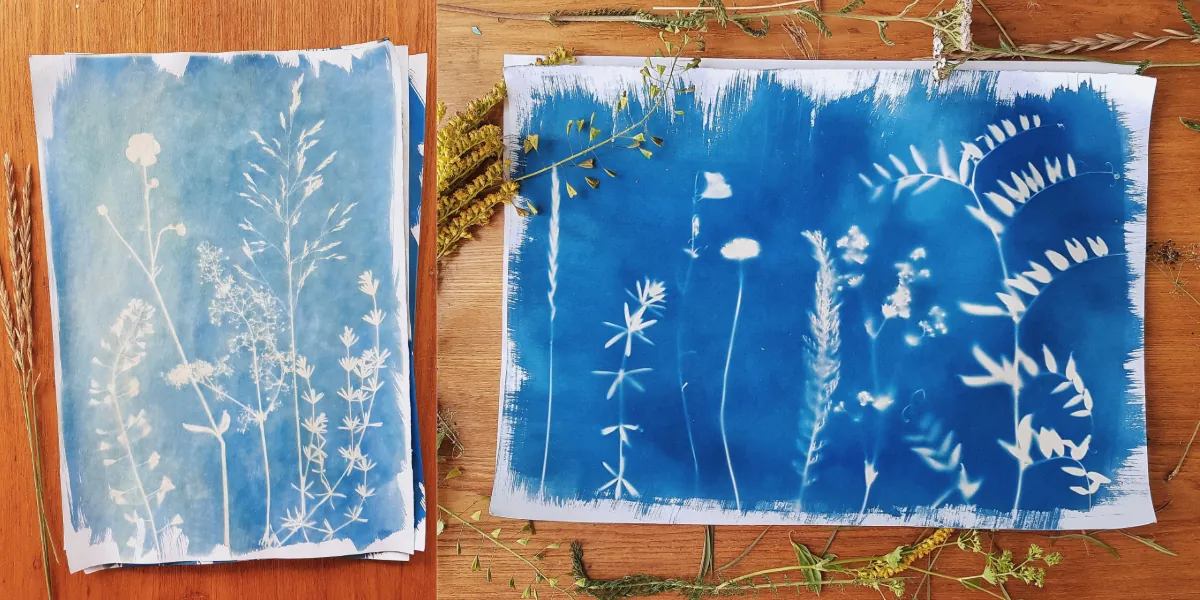 Cyanotype Printmaking with Beth James