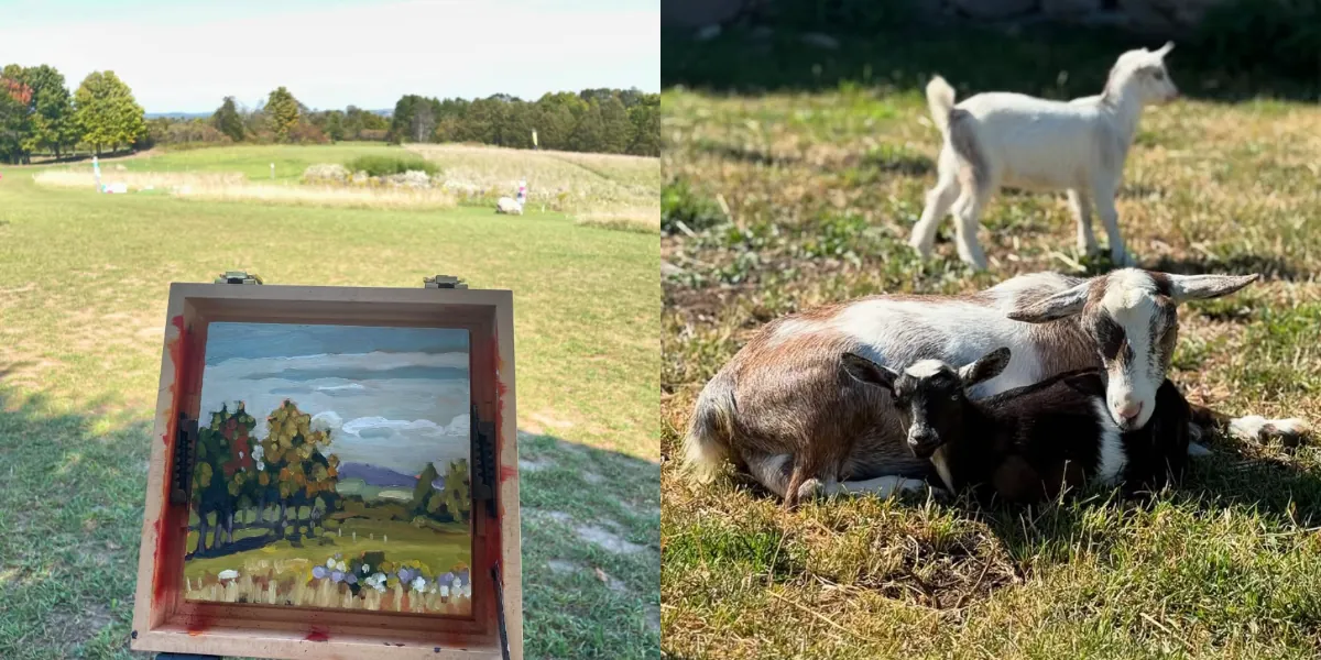 Plein Air at Haute Goat with Luke Despatie