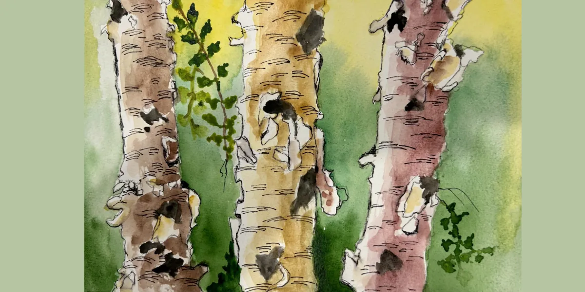 Beginner Watercolour: Landscapes with Valerie Kent