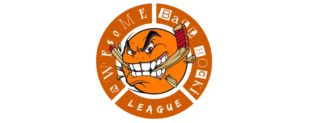 Thirteen (13) U - Awesome Ball Hocki League Casual Players