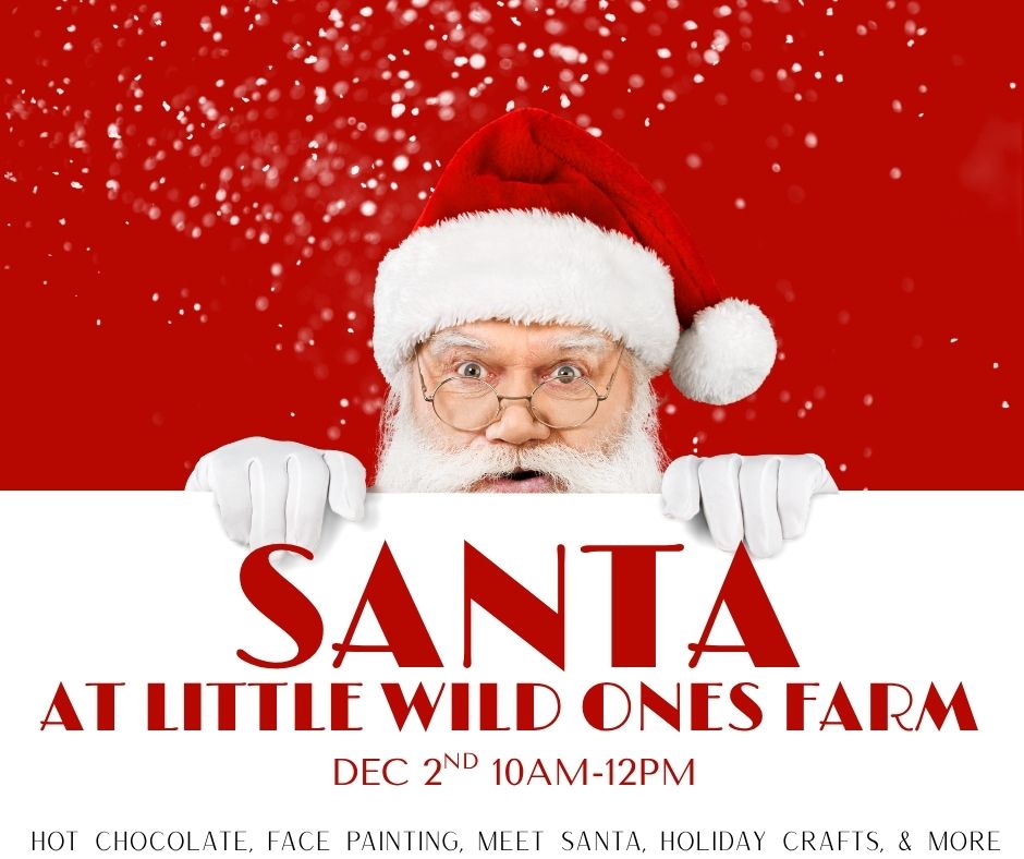 SANTA AT THE FARM: 10am-12m Farm Visit