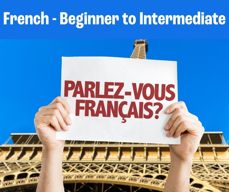 French - Beginner to Intermediate Level
