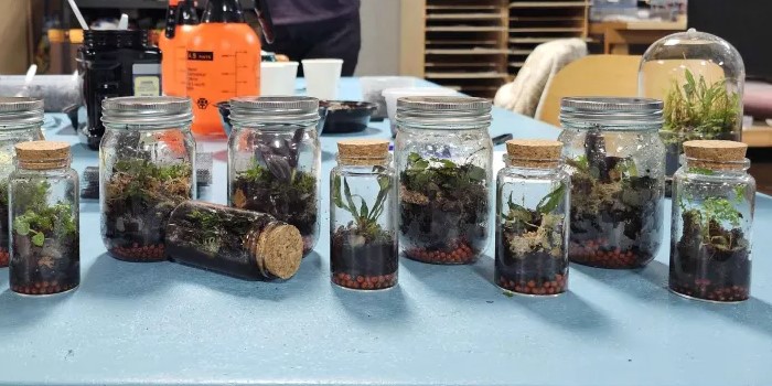 Intro to Terrariums