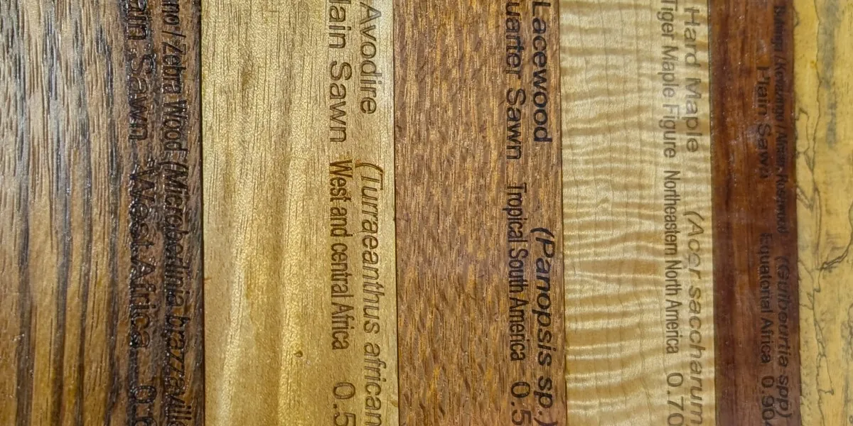 Wood Identification Workshop