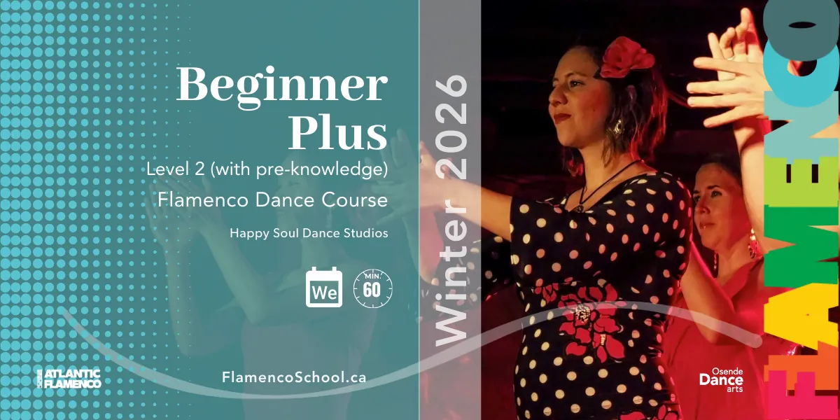 Level 2 - Beginner Plus Flamenco (with some pre-knowledge)