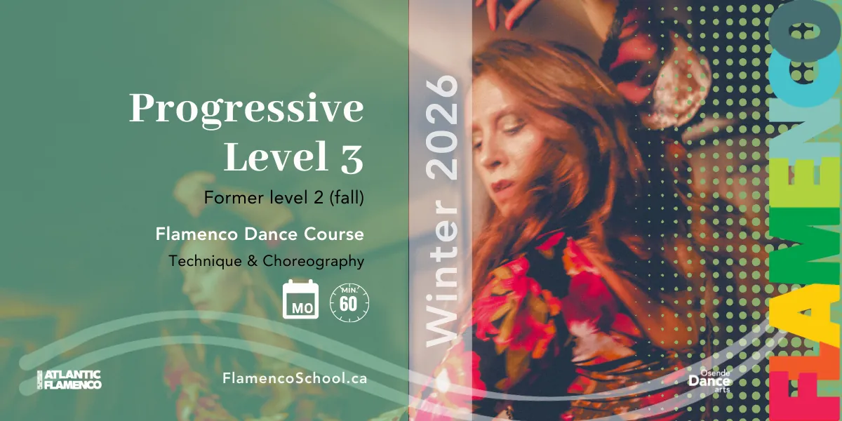 Level 3 - Progressive Leve Flamenco