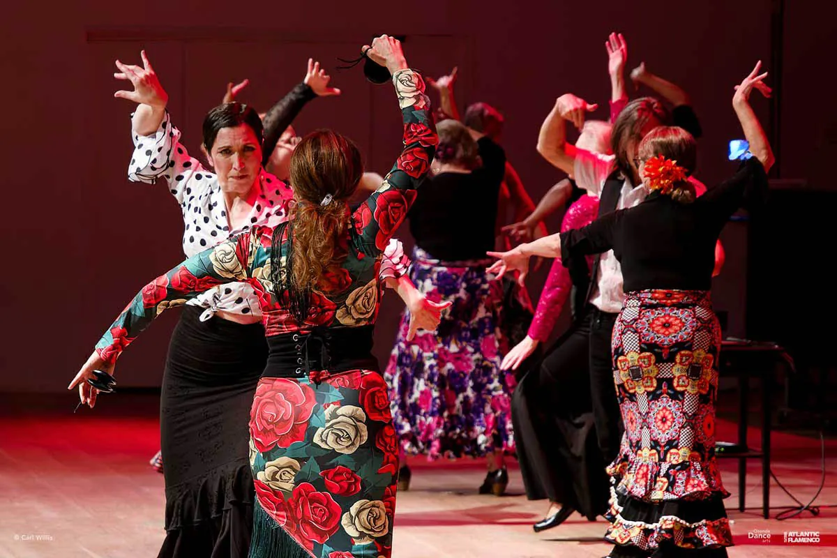 Sevillanas Practise