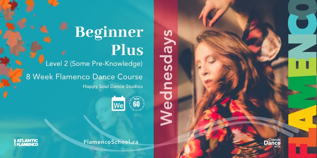 🍁 Level 2  Beginner Plus Flamenco Course