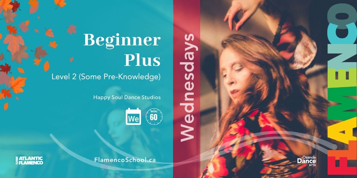 Level 2  Beginner Plus Flamenco Course